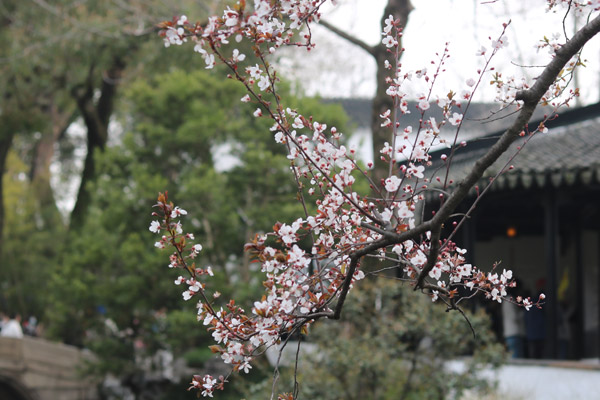 饮料配方研发机构一站式技术服务介绍